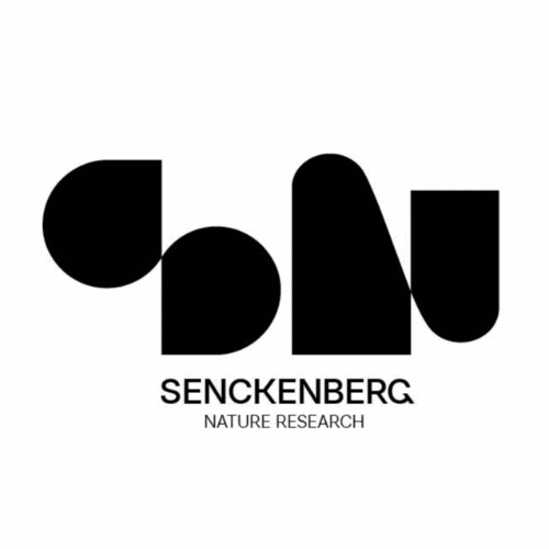 Logo der Firma Senckenberg – Leibniz Institution for Biodiversity and Earth System Research // Senckenberg Gesellschaft für Naturforschung