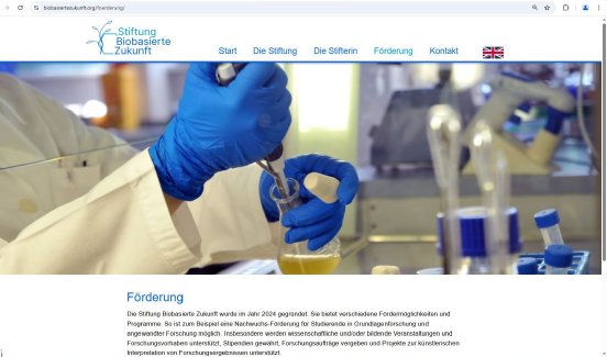 Screenshot Website S~ftung Förderung (1).jpg