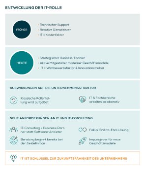 Entwicklung-der-IT-Rolle.png