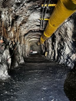 Bild3.jpg