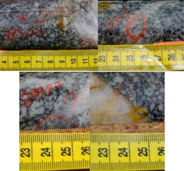 Goliath-Resources-Sichtbares-Gold-in-Bohrkern-GD-22-64-1024x956.jpg